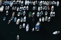 Pronájem lodí, i denní pronájem plachetnic, skútrů, paddelboardů a vodních hraček